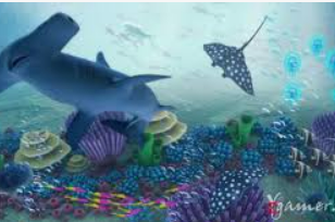 云开足球平台正式版